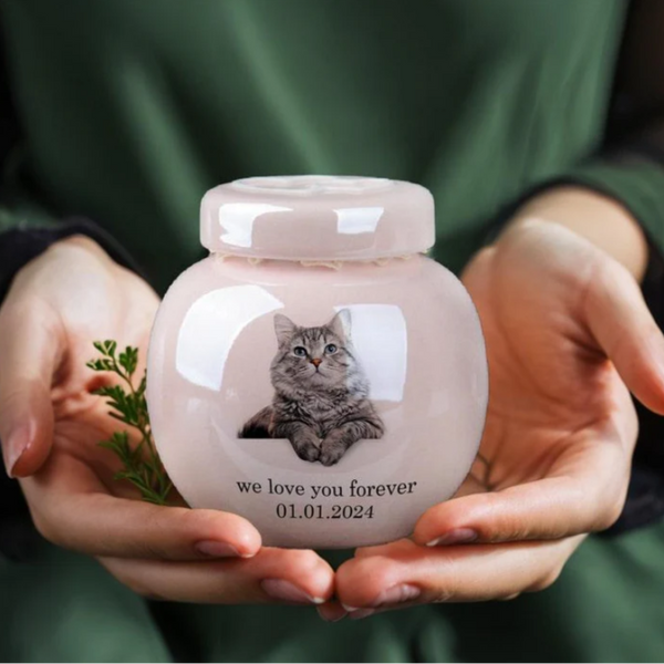 Pet Ashes Urn-Personalized Ceramic Pet Urn with Sealed Lid