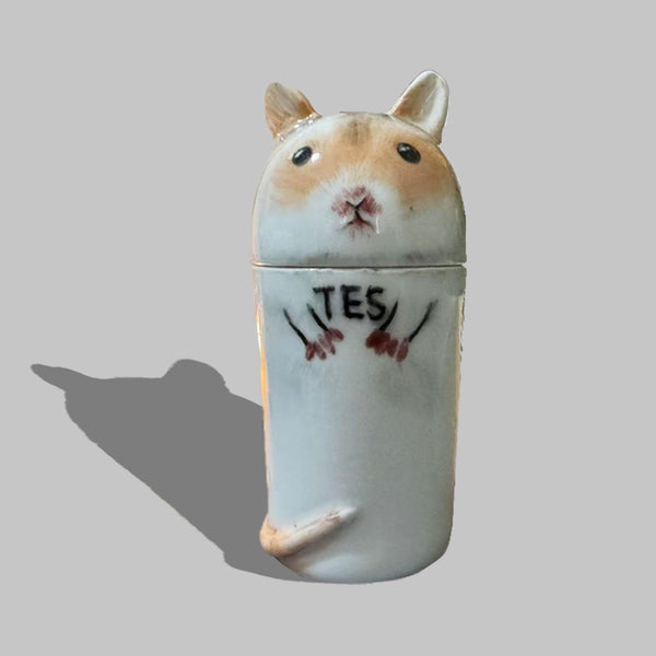 Hamster Ashes Urn-Personalized Hamster Portrait Urn in Ceramic